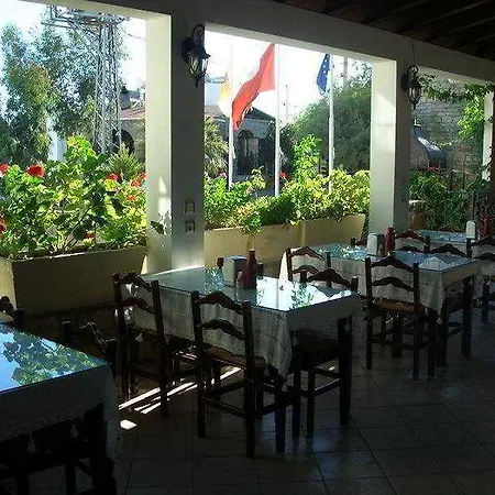 Ayhan And 2* Gümbet